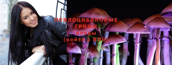 бошки Армянск