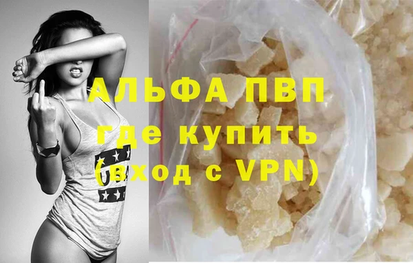 молекула духа Арсеньев