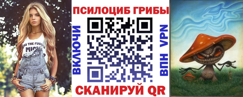 ссылка на мегу ССЫЛКА  Приволжск  Галлюциногенные грибы мицелий 